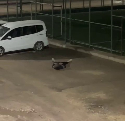 Yere yığılan şahıs hastaneye kaldırıldı
